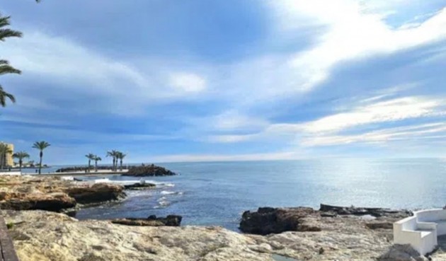 Brukt - Toppleilighet -
Torrevieja - Costa Blanca