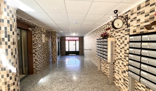 Resale - Apartment -
San Miguel de Salinas - Inland