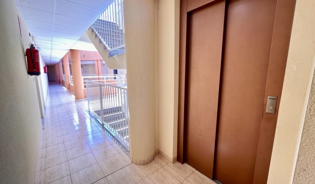 Resale - Apartment -
San Miguel de Salinas - Inland