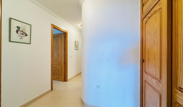 Brukt - Apartment -
La Mata - Costa Blanca