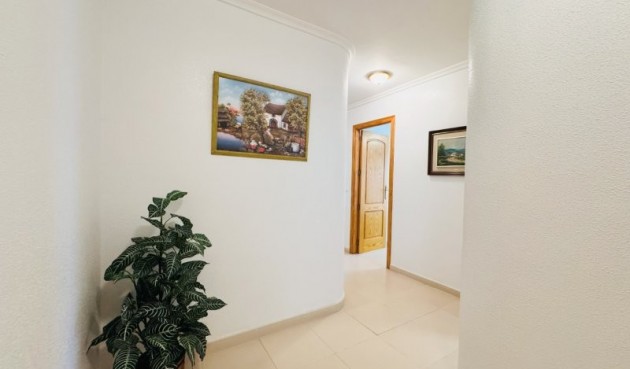 Brukt - Apartment -
La Mata - Costa Blanca