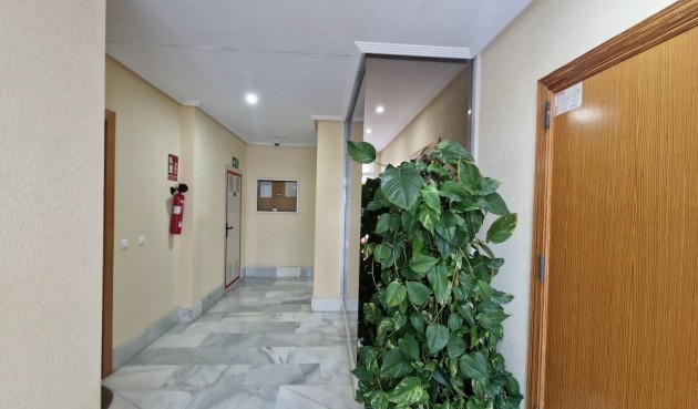 Brukt - Apartment -
Villajoyosa - Costa Blanca