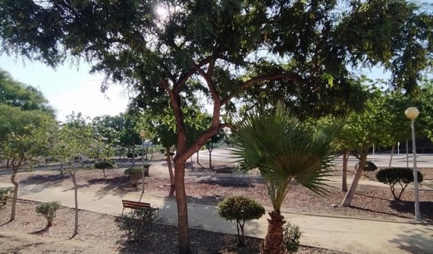 Resale - Apartment -
Orihuela Costa - LOMAS CABO ROIG