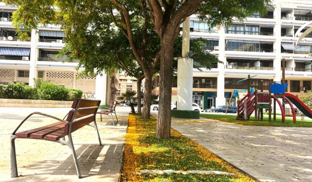 Återförsäljning - Apartment -
Guardamar del Segura - Pueblo