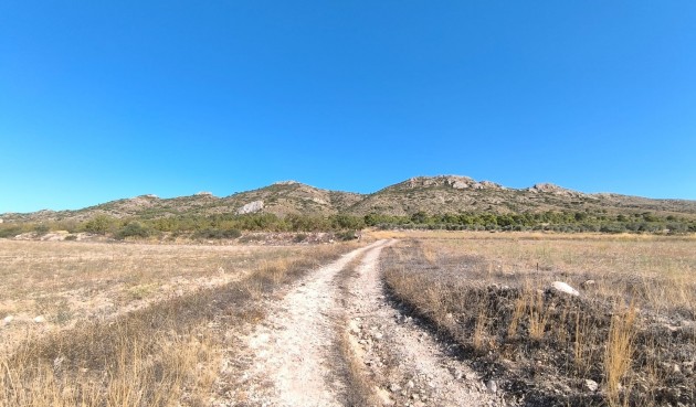 Brukt - Villa -
Yecla - Inland