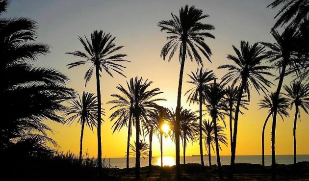 Resale - Apartment -
Torrevieja - Centro