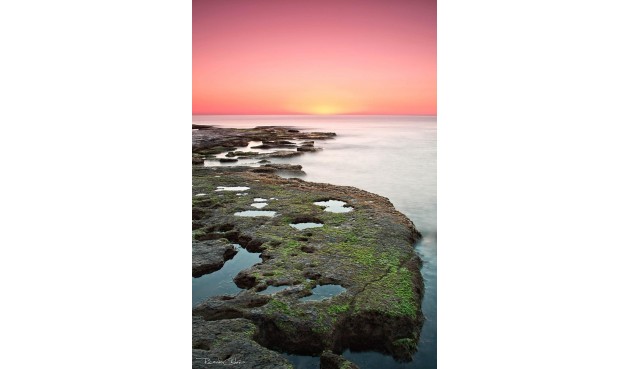 Obra nueva - Bungalow -
Torrevieja - Altos del Sol