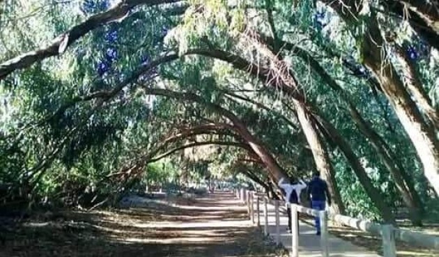 Obra nueva - Bungalow -
Torrevieja - Altos del Sol