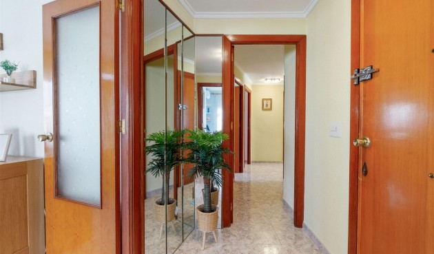 Återförsäljning - Apartment -
Torrevieja