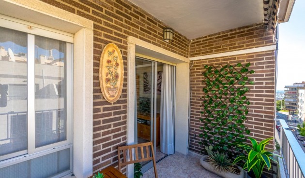 Återförsäljning - Apartment -
Torrevieja