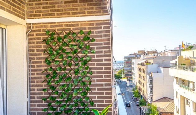 Återförsäljning - Apartment -
Torrevieja