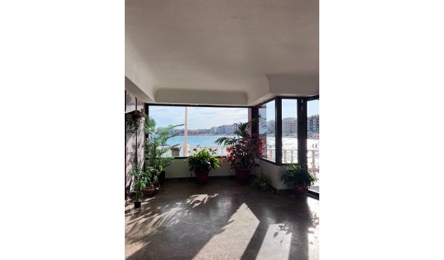 Reventa - Apartment -
Torrevieja - Playa de los Locos