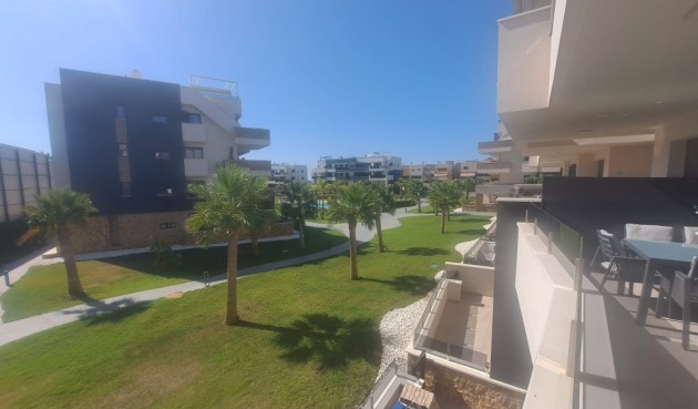 Återförsäljning - Apartment -
Playa Flamenca - Costa Blanca