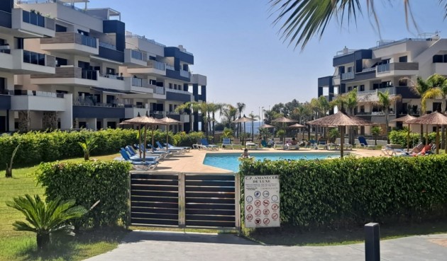 Återförsäljning - Apartment -
Playa Flamenca - Costa Blanca