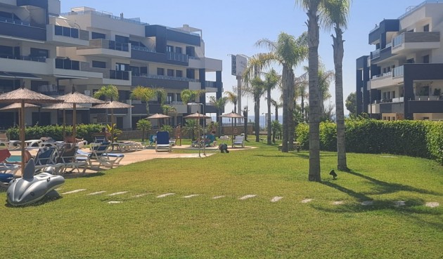 Återförsäljning - Apartment -
Playa Flamenca - Costa Blanca