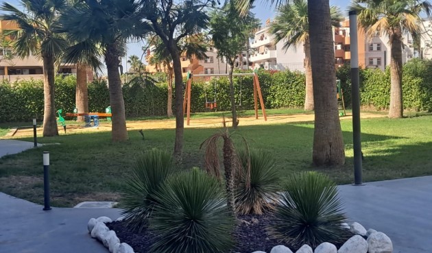 Återförsäljning - Apartment -
Playa Flamenca - Costa Blanca