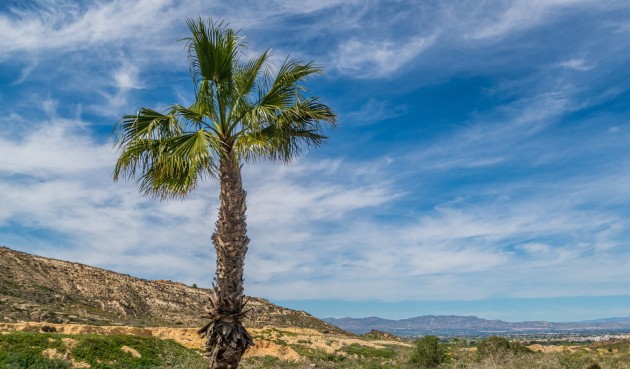 Resale - Apartment -
Algorfa - Inland