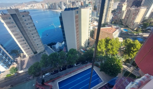 Resale - Apartment -
Benidorm - Costa Blanca