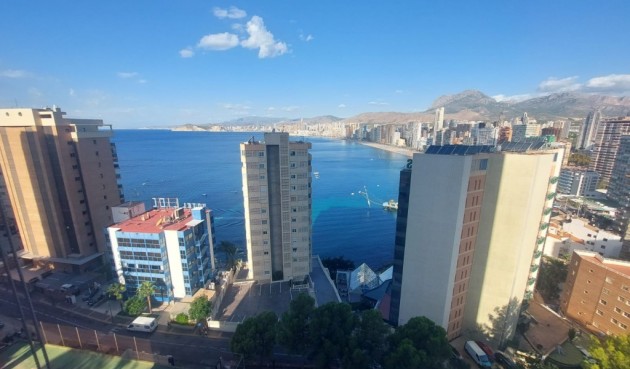 Resale - Apartment -
Benidorm - Costa Blanca