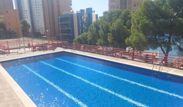 Resale - Apartment -
Benidorm - Costa Blanca
