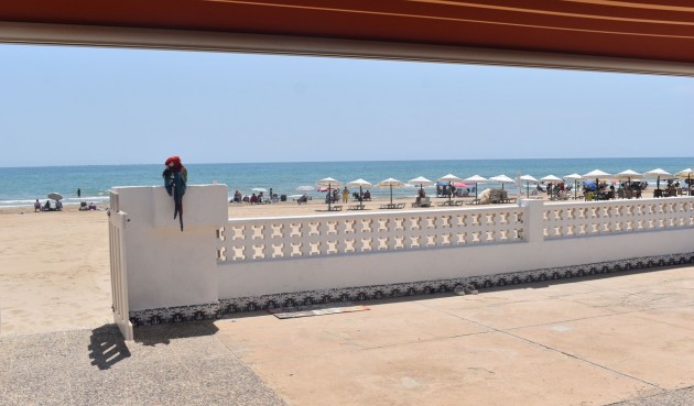 Brukt - Villa -
Guardamar del Segura - Costa Blanca