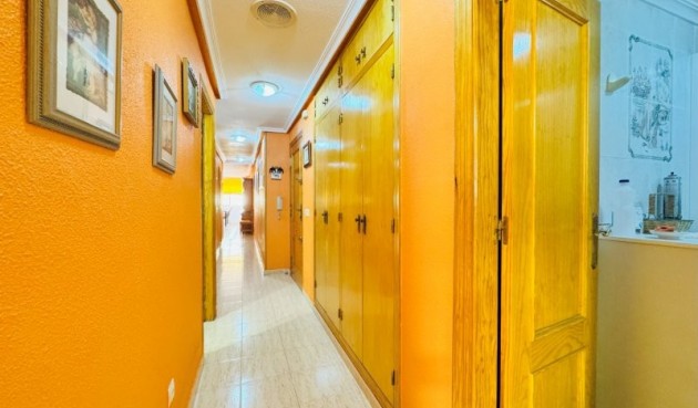 Brukt - Apartment -
La Mata - Costa Blanca