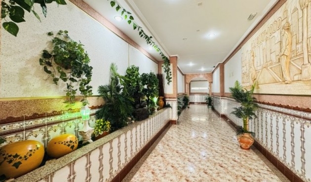 Brukt - Apartment -
La Mata - Costa Blanca