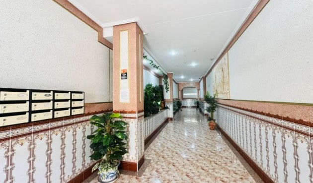 Brukt - Apartment -
La Mata - Costa Blanca