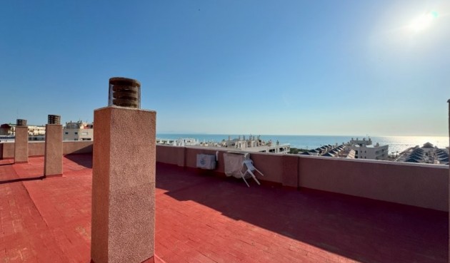 Brukt - Apartment -
La Mata - Costa Blanca