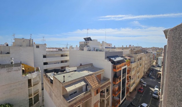 Reventa - Apartment -
Torrevieja - Centro