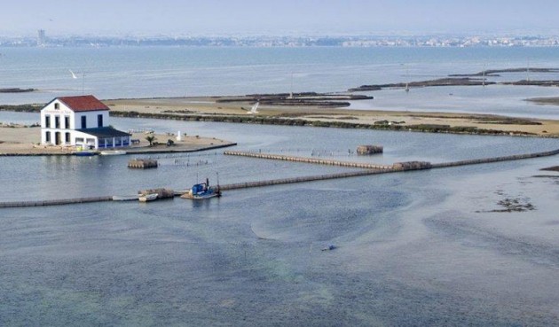 Nybyggnation - Villa -
San Pedro del Pinatar - Centro