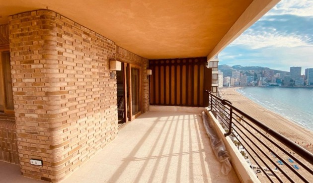 Återförsäljning - Apartment -
Benidorm - Costa Blanca