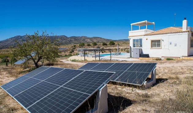 Resale - Villa -
Pinoso - Inland