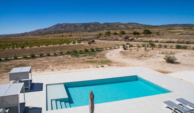 Resale - Villa -
Pinoso - Inland