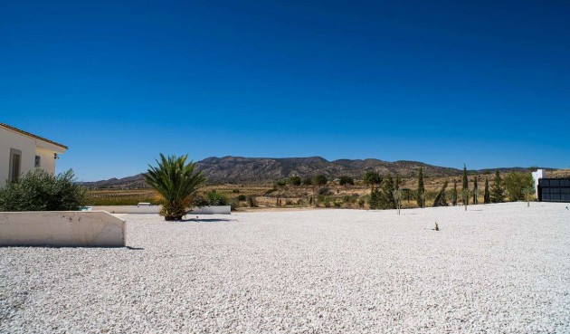 Resale - Villa -
Pinoso - Inland