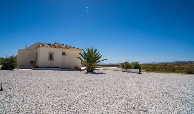 Resale - Villa -
Pinoso - Inland