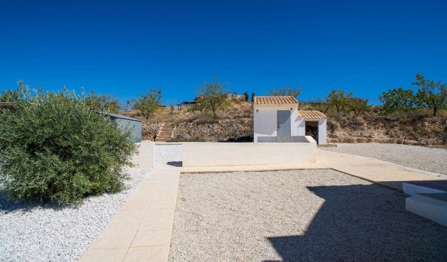 Resale - Villa -
Pinoso - Inland