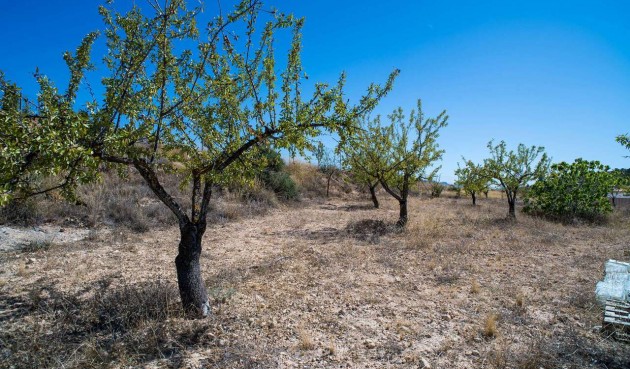 Resale - Villa -
Pinoso - Inland