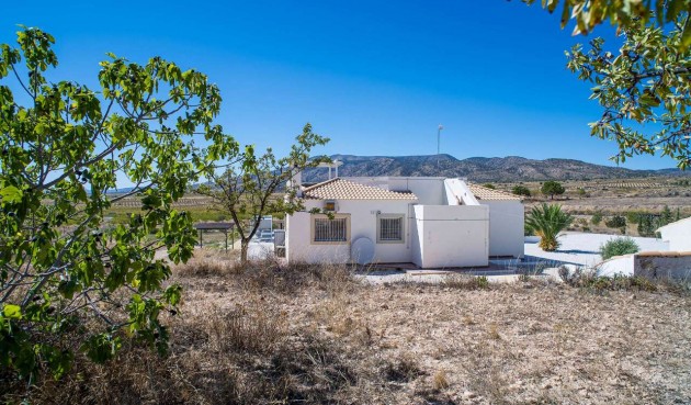 Resale - Villa -
Pinoso - Inland