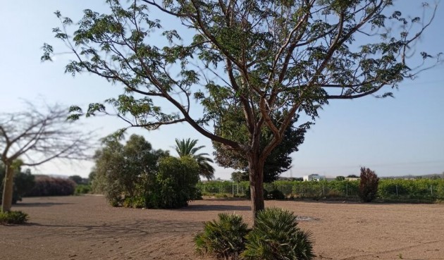 Brukt - Villa -
Daya Nueva - Costa Blanca