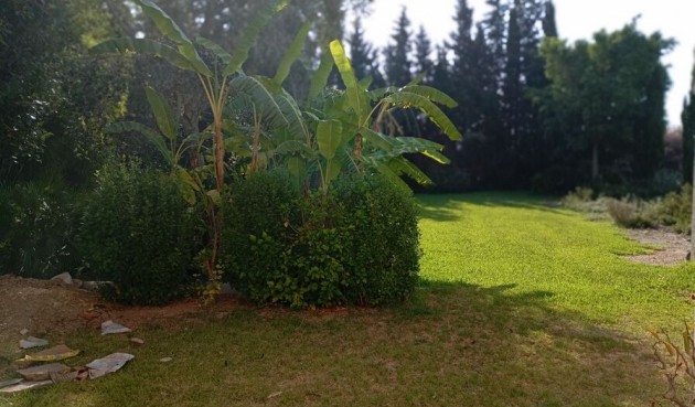 Brukt - Villa -
Daya Nueva - Costa Blanca