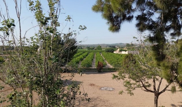 Brukt - Villa -
Daya Nueva - Costa Blanca