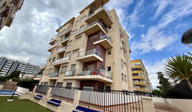 Resale - Apartment -
Torrevieja - Costa Blanca