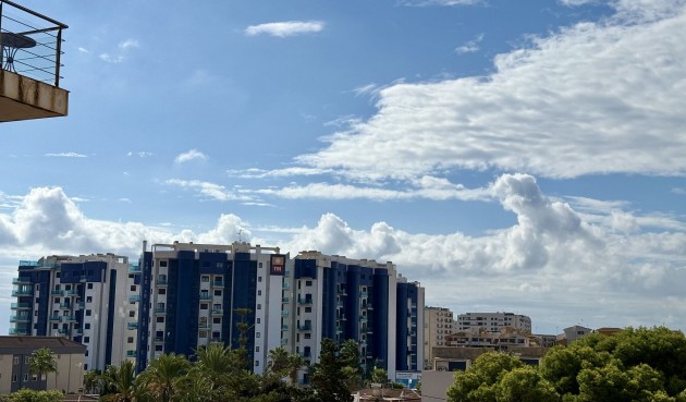 Resale - Apartment -
Torrevieja - Costa Blanca