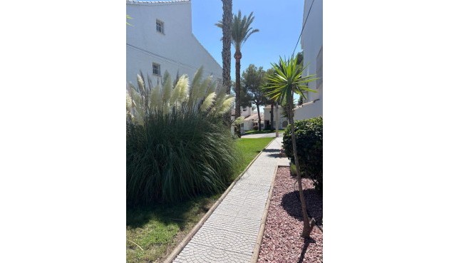 Resale - Apartment -
Los Dolses - Inland