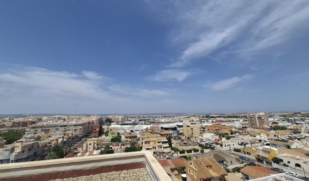 Resale - Apartment -
Torrevieja - Costa Blanca