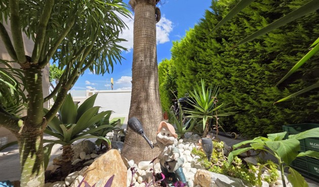 Resale - Villa -
Pilar de la Horadada - Zona Pueblo