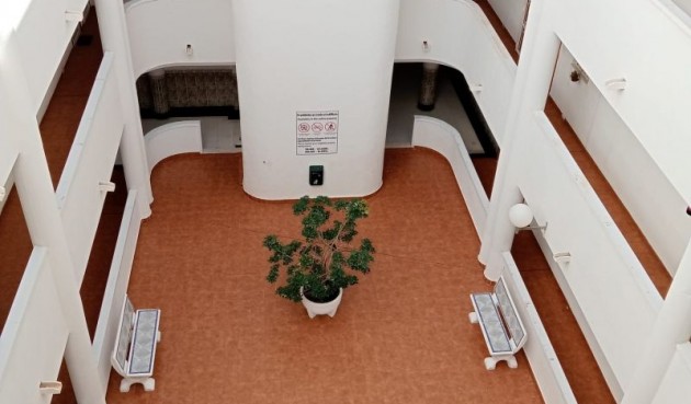 Brukt - Apartment -
Torrevieja - Costa Blanca