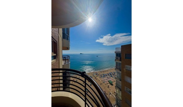 Återförsäljning - Apartment -
Benidorm - Costa Blanca