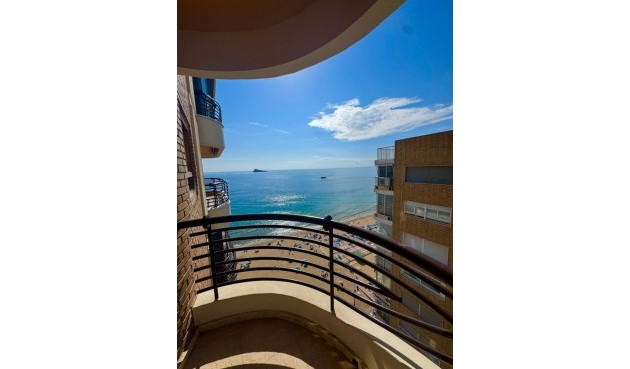 Återförsäljning - Apartment -
Benidorm - Costa Blanca